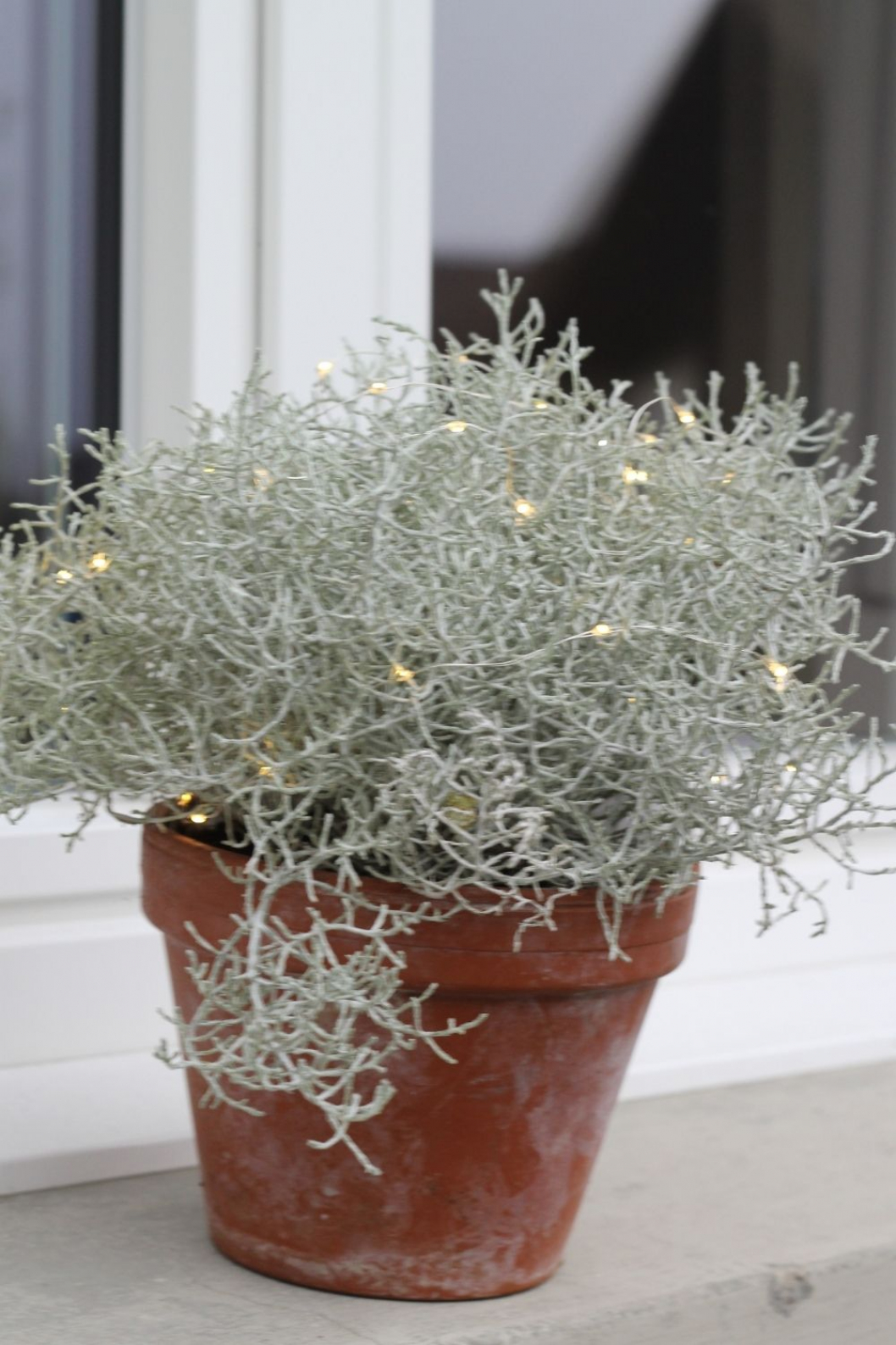 Fensterdeko-Idee-Winter-selber-machen.jpg