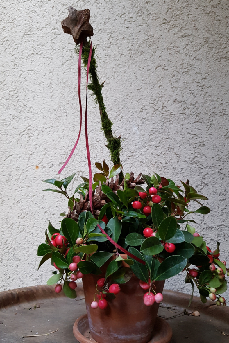 Fesnsterbank-Deko-Winter-Kostenguenstig-und-schnell-DIY-ANleitung_2.png