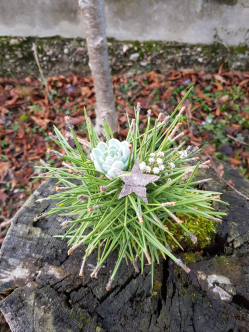 FlowerBall-Challenge-Piniennadel-Kugel.jpg