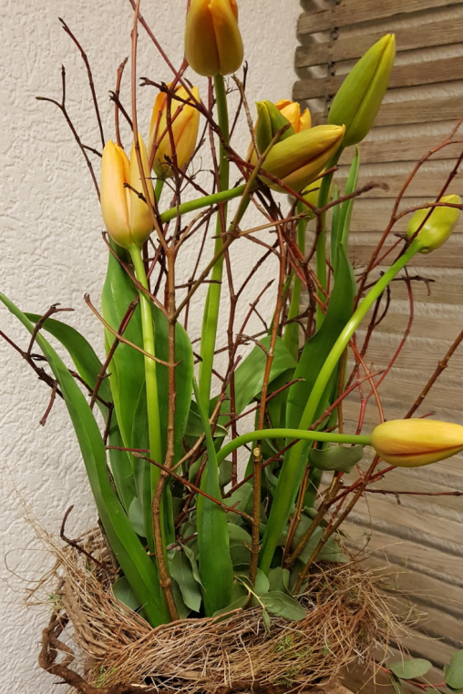 Franzoesische-Tulpen-DIY-ANleitung-Fruehlingsdeko.png