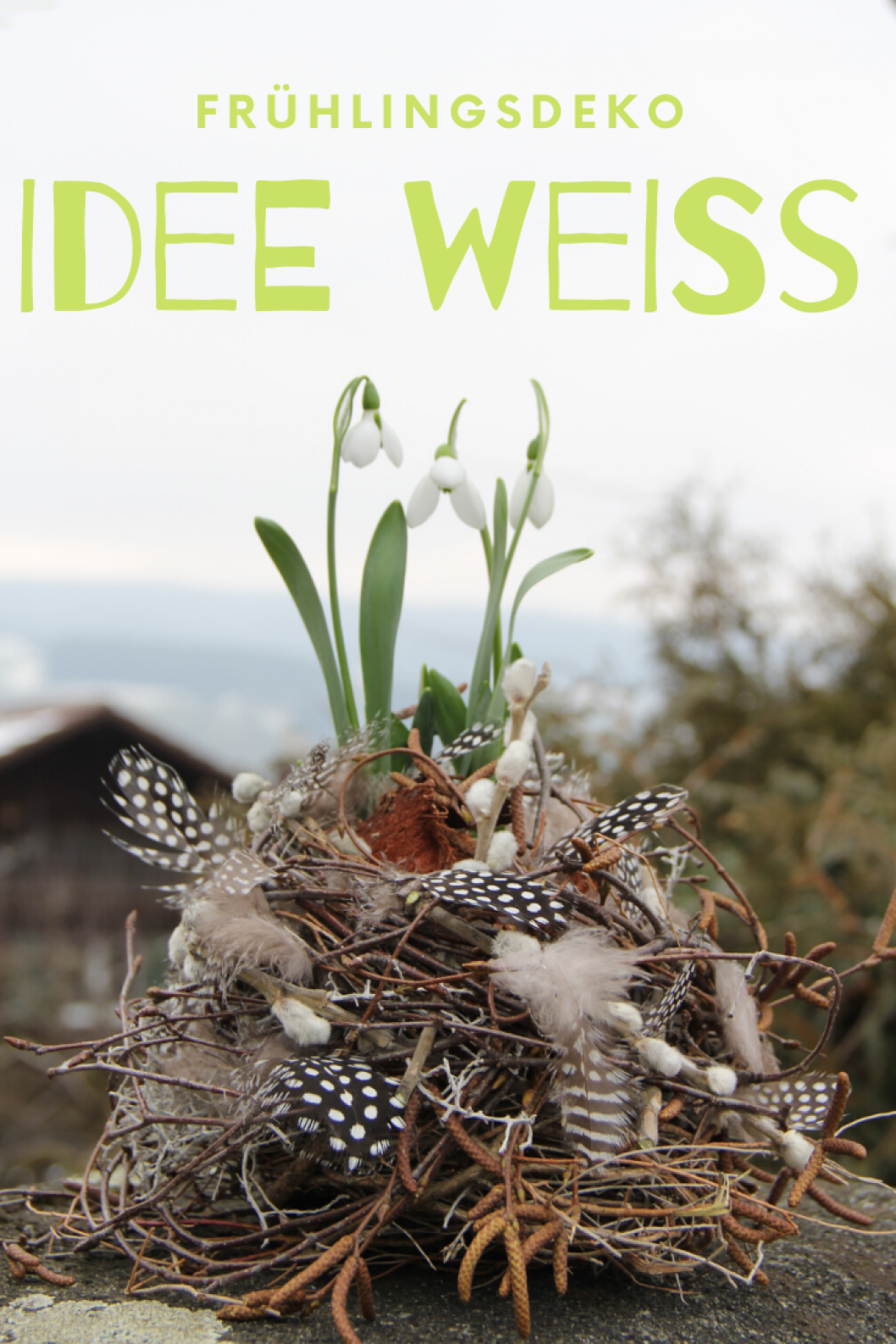 Fruehlings-Deko-Idee-in-weiss-Naturdeko-Galanthus-Nivalis.png