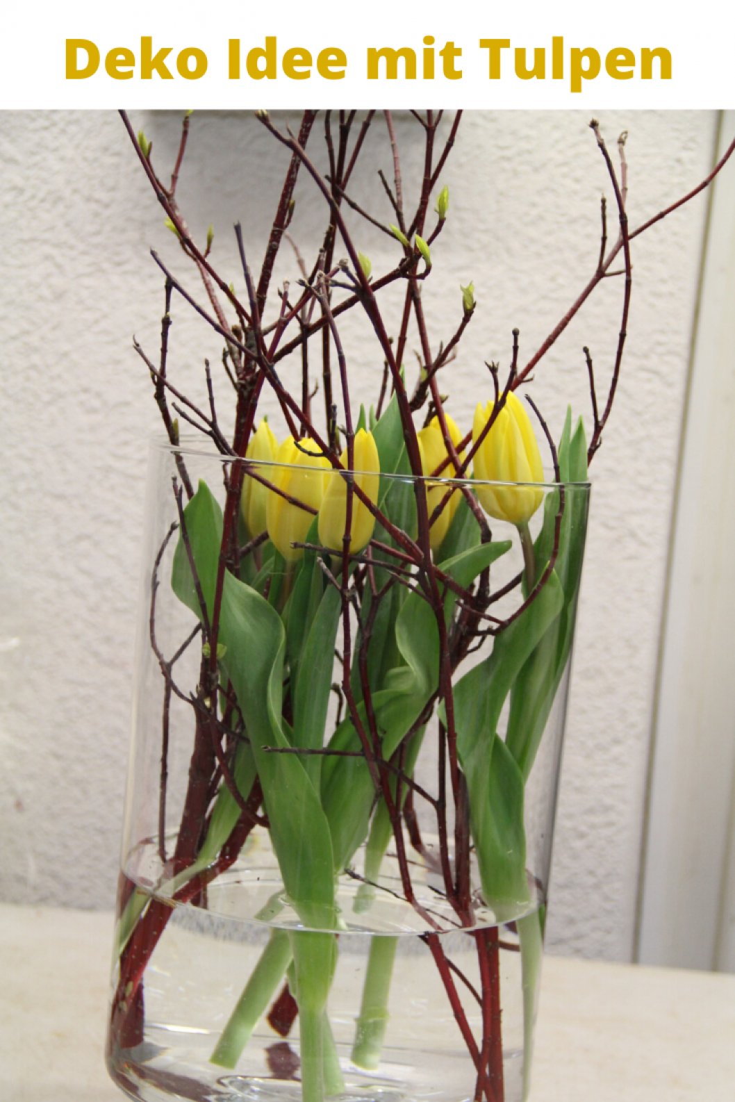 Fruehlings-Dekoration-mit-Tulpen-im-Glas-Vasen-Deko.png
