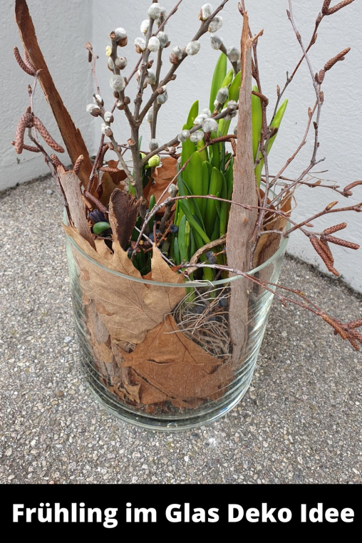 Fruehlingsdekoration-Pflanzen-im-Glas.jpg