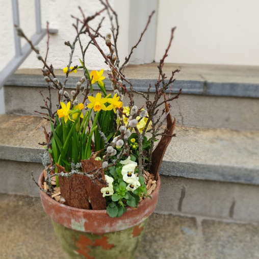 Fruehlingsdekoration-rustikal-mit-Fruehlingspflanzen.jpg