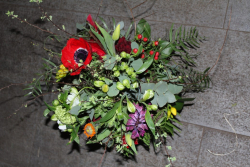 Strauss frühling (ausgeliefert in Worb am 8. April 2015)