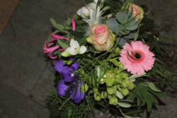 Strauss frühlingshaft (ausgeliefert am 14. Februar 2015 in Grosshöchstetten)