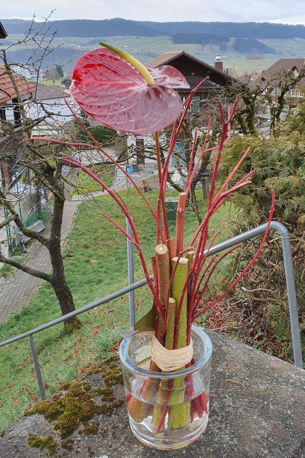 Geaest-mit-Anthurium-Bluete-Exklusiver-Strauss.png