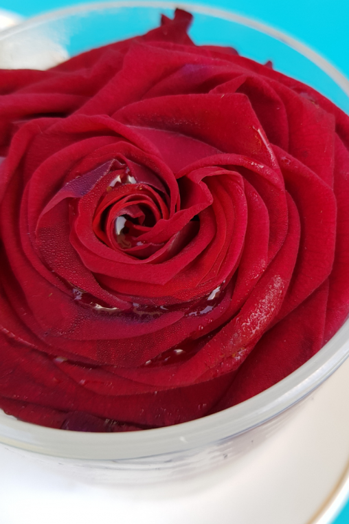 Gefrorene-Rose-als-Abkuehlung-selber-machen.png