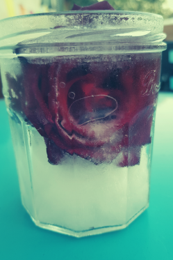Gefrorene-Rose-in-Marmeladen-Glas-Abkuehlung-bei-Hitze-selber-machen.png