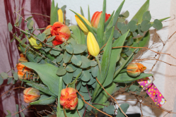 Gemischter Tulpenstrauss (ausgeliefert in Grosshöchstetten am 11. April 2013)