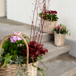 Hausdekoration-Sommer-Treppen-Deko.jpg