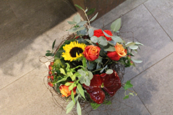 Herbststsrauss (ausgeliefert in Konolfingen am 12. August 2015)