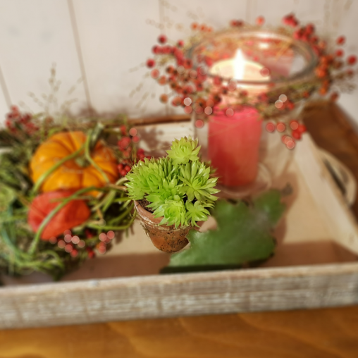 Herbst-Deko-Tischdeko-idee-Holzbrett-gefuellt-Naturdeko-inspiration.png