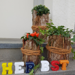 Herbst-Deko-mit-Rindengefaessen-selber-machen-Daussen-Deko-DIY.png