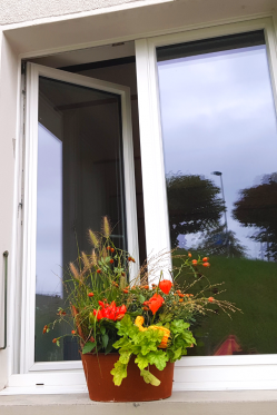 Herbst-Deko-selber-machen-Fensterbank-Deko-Draussen-herbst-Dekoration.png