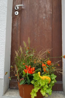 Herbst-Dekoration-selber-machen-DIY-Anleitung-Pflanzenarrangement.png
