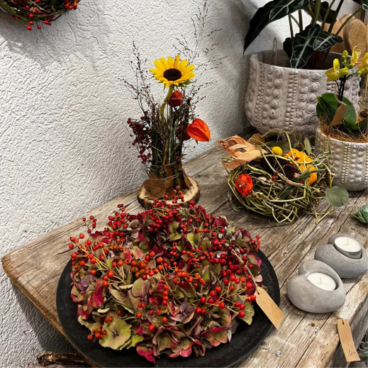 Herbst-Hortensien.jpg