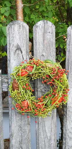 Herbstdeko-Bohnenranken05.jpg