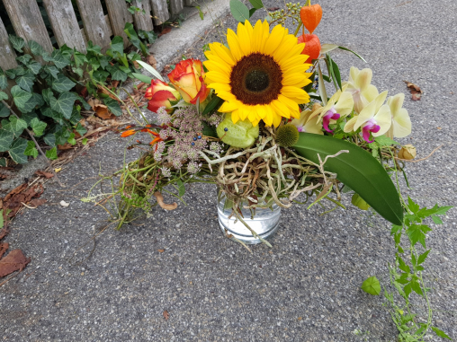 Herbstdeko-Bohnenranken13.jpg