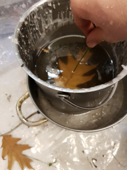 Tauche das angedrahtete Herbstblatt zuerst in den warmen Wachs und anschliessend tauchst du das Herbstblatt zur Abkühlung des Wachses, in ein Wasserbad. Den ganzen Vorgang wiederholst du und zweimal.