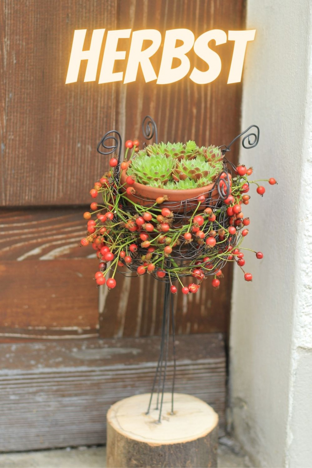 Herbstdeko-Idee-draussen.jpg
