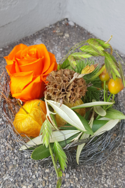 Herbstdeko-selber-amchen-DIy-deko-Idee-floristik.png