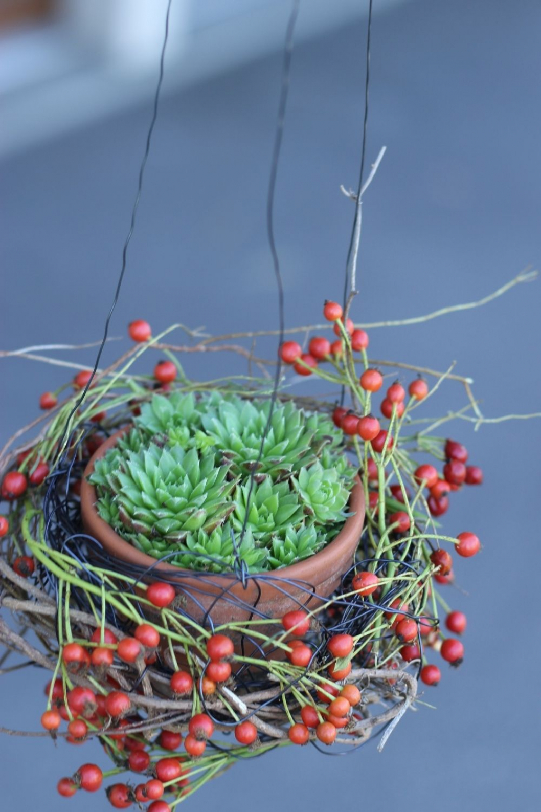 Herbstdekoration-draussen-DIY-Anleitung.jpg