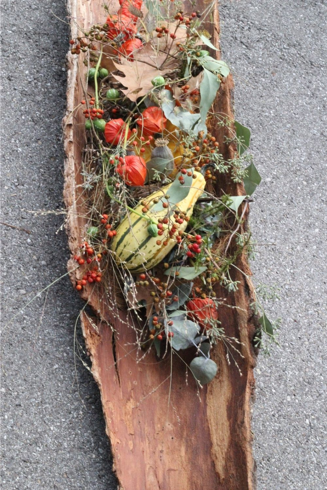 Herbstdekoration-in-Rinde-zum-selber-machen.jpg