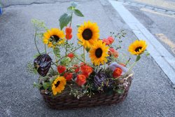 Herbstgesteck mit Geld in Korb ( abgeholt im Laden am 29. August 2015)