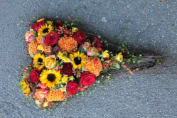 Herbstherz (abgeholt im Laden am 5. November 2015)