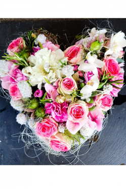 Herz-rosa-weiss.jpg