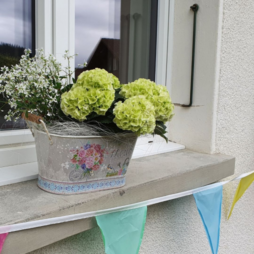 Hortensien-Pflanzen-als-Sommerdekoration-auf-dem-Fensterbank-aussen-dekoration.jpg