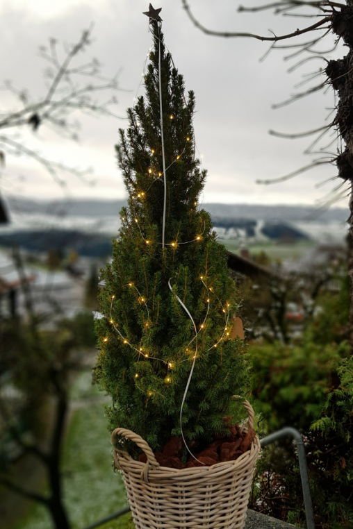 Kleiner-Weihnachtsbaum-mit-Beleuchtung-LED-Lichterkette-dekorieren-Weihnachtsbaum-draussen-im-Korb.png