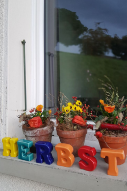 Kostenguenstige-Herbstdekoration-fuer-die-Fensterbank.png