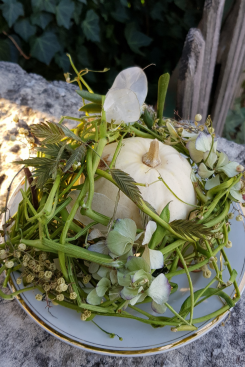 Kuerbis-Deko-in-weiss-DIY-ANleitung-Floristik-Herbstdeko.png