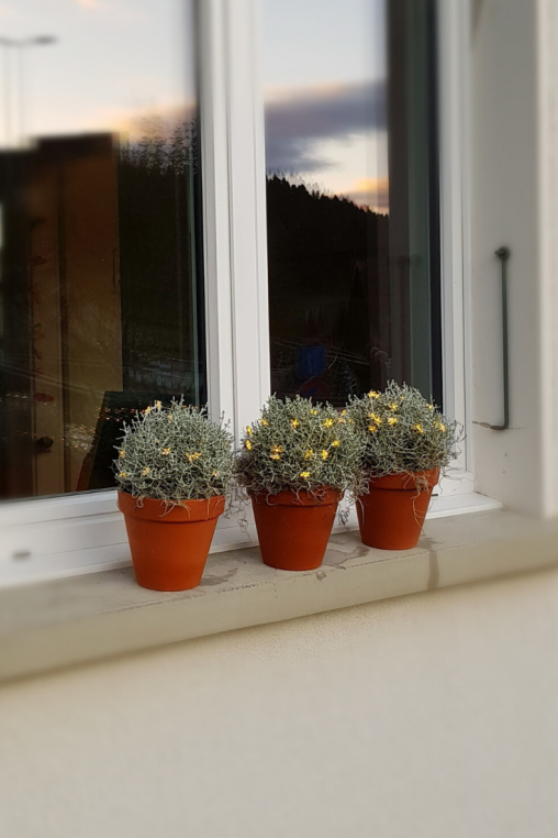 LED-Lichterkette-in-Fensterbank-Deko-integrieren-Winterdekoration-aussen.png