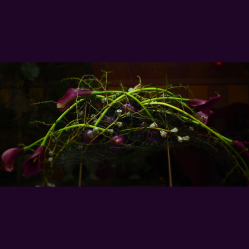 Laengliche-Tischdekoration-mit-Calla-Blueten.png