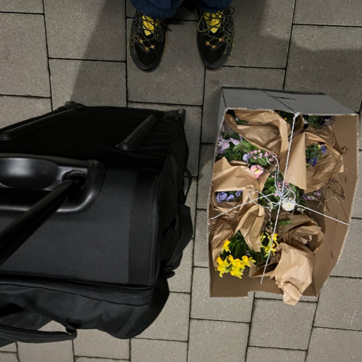 Mein-Gepaeck.jpg