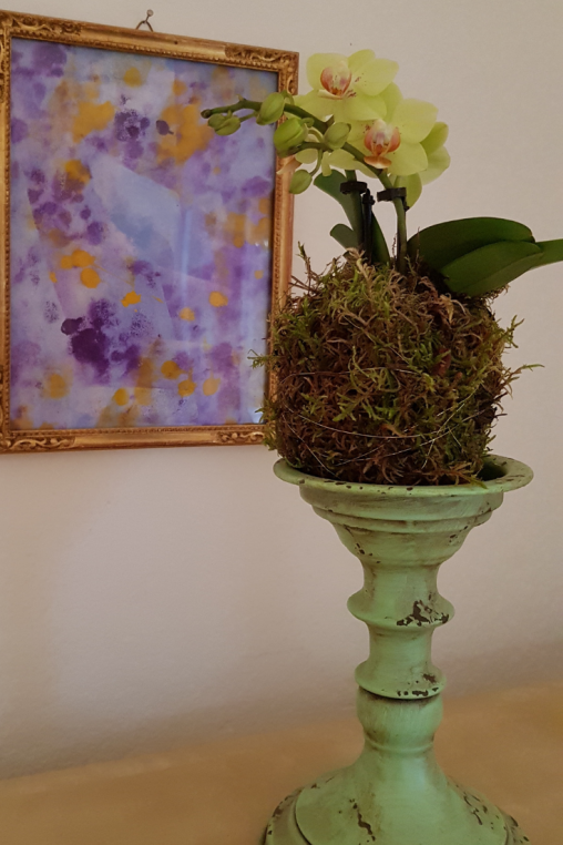 Mooskugel-Phalaenopsis-Deko-idee_2.png