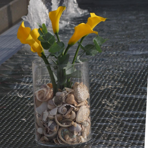 Muscheln-fuer-Sommer-Deko-in-Vase-integrieren-Deko-Idee-Sommer-.jpg