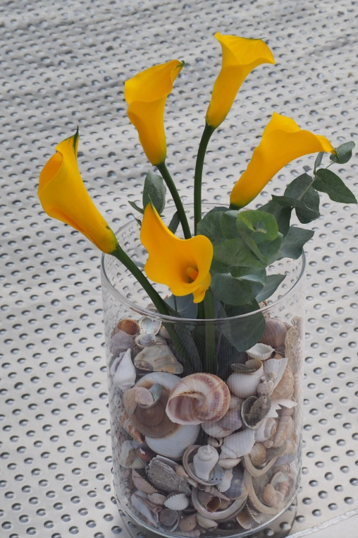 Muscheln-in-Vase-Praktische-Vasenfuellung-mit-Blumen.jpg