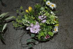Strauss natürlich (ausgeliefert am 10. Mai 2014 in Grosshöchstetten)
