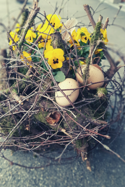 Natur-Dekoration-Fruehling-fuer-draussen-mit-Viola-Cornuta-Pflanze-DIY-Idee-Oster-Deko.png