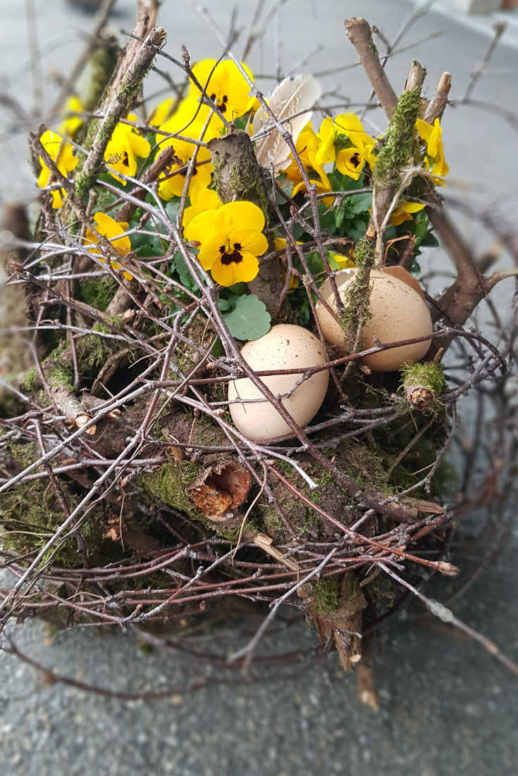 Natur-Dekoration-Fruehling-fuer-draussen-mit-Viola-Cornuta-Pflanze.png