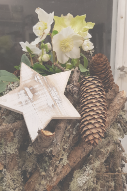 Naturdeko-idee-mit-Christrosen-DIY-Idee-zum-selber-amchen-Weihnachtsdeko-idee-fuer-draussen-1.png