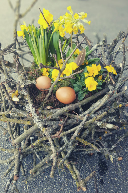 Nest-mit-Zweigen-zum-selber-machen-Oster-Dekoration-fuer-draussen.png
