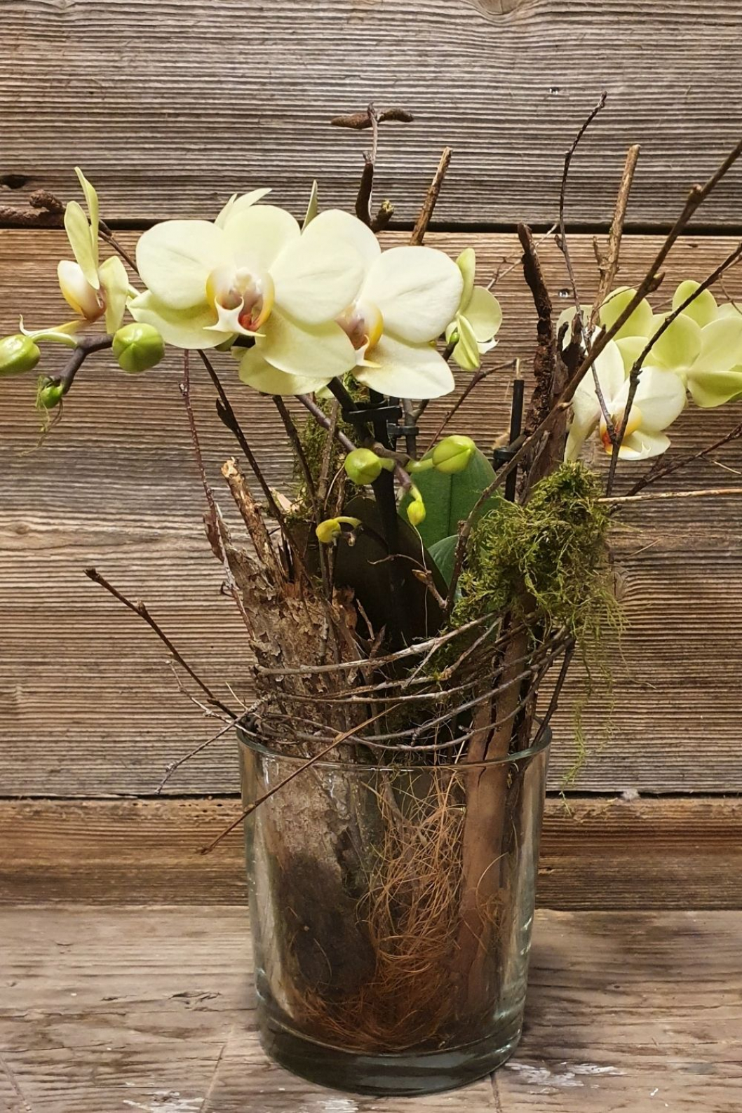 Orchidee-im-glas-selber-machen.jpg