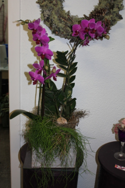 Orchideenarrangement (asugeliefert in Steffisburg am 28.9. 12