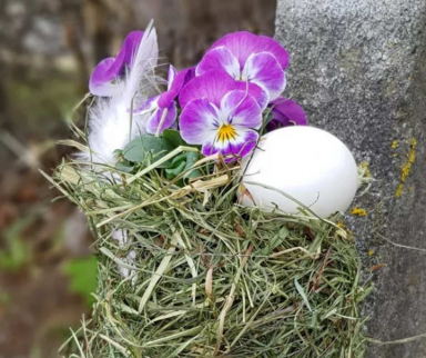 Osterdeko-im-Heu-zum-selber-machen.jpg