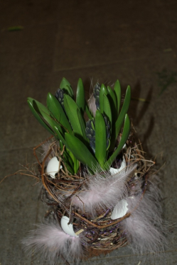 Florales Osternestli (ausgeliefert in Freimettingen am 28. März 2013) 